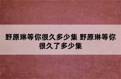 野原琳等你很久多少集 野原琳等你很久了多少集